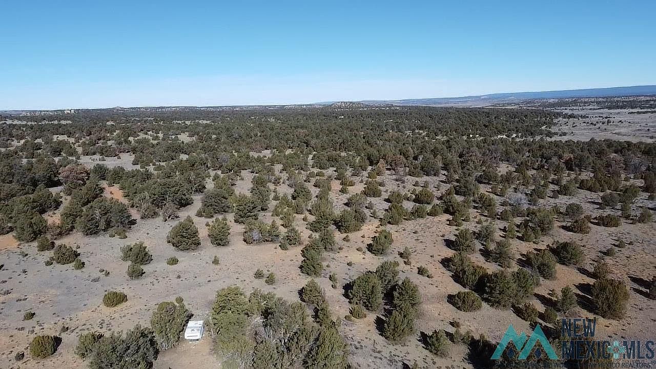 Arrowhead Rd Pinehill, NM 87357  | Land/Lot