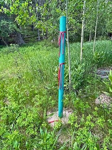 178 Simmons Rd Westcliffe, CO 81069  | Land/Lot