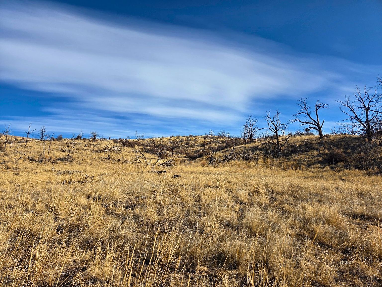 430 Shannon Trl Cotopaxi, CO 81223 | Land/Lot