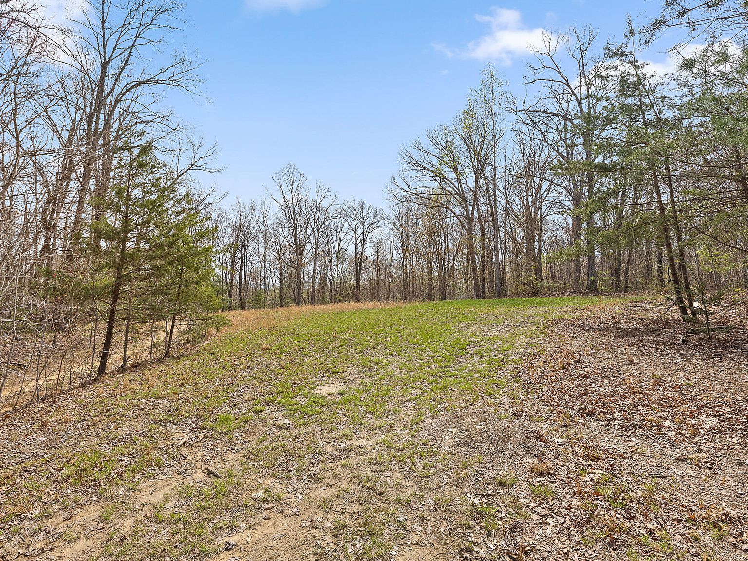 Blaine Smith Rd Graysville, TN 37338  | Land/Lot