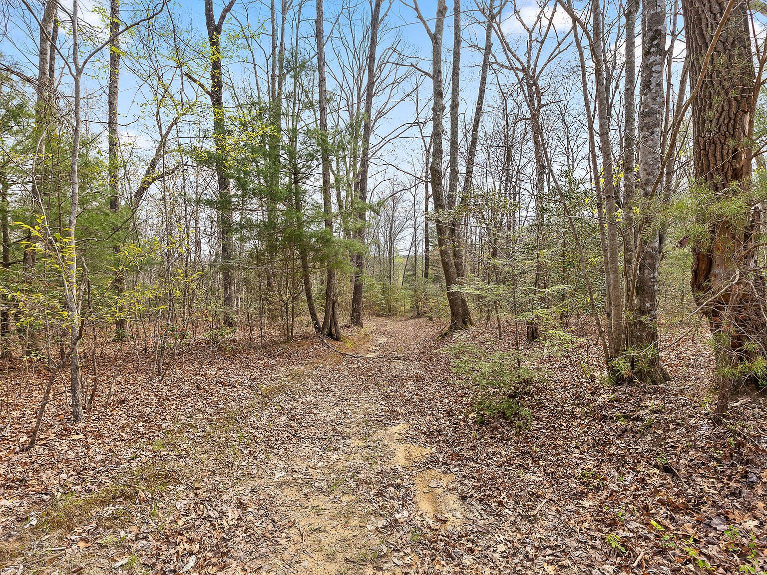 17.65 Blaine Smith Rd Graysville, TN 37338 | Land/Lot