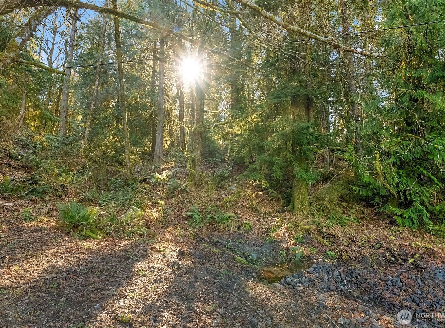 0 Talmo Dr NW Gig Harbor, WA 98332  | Land/Lot