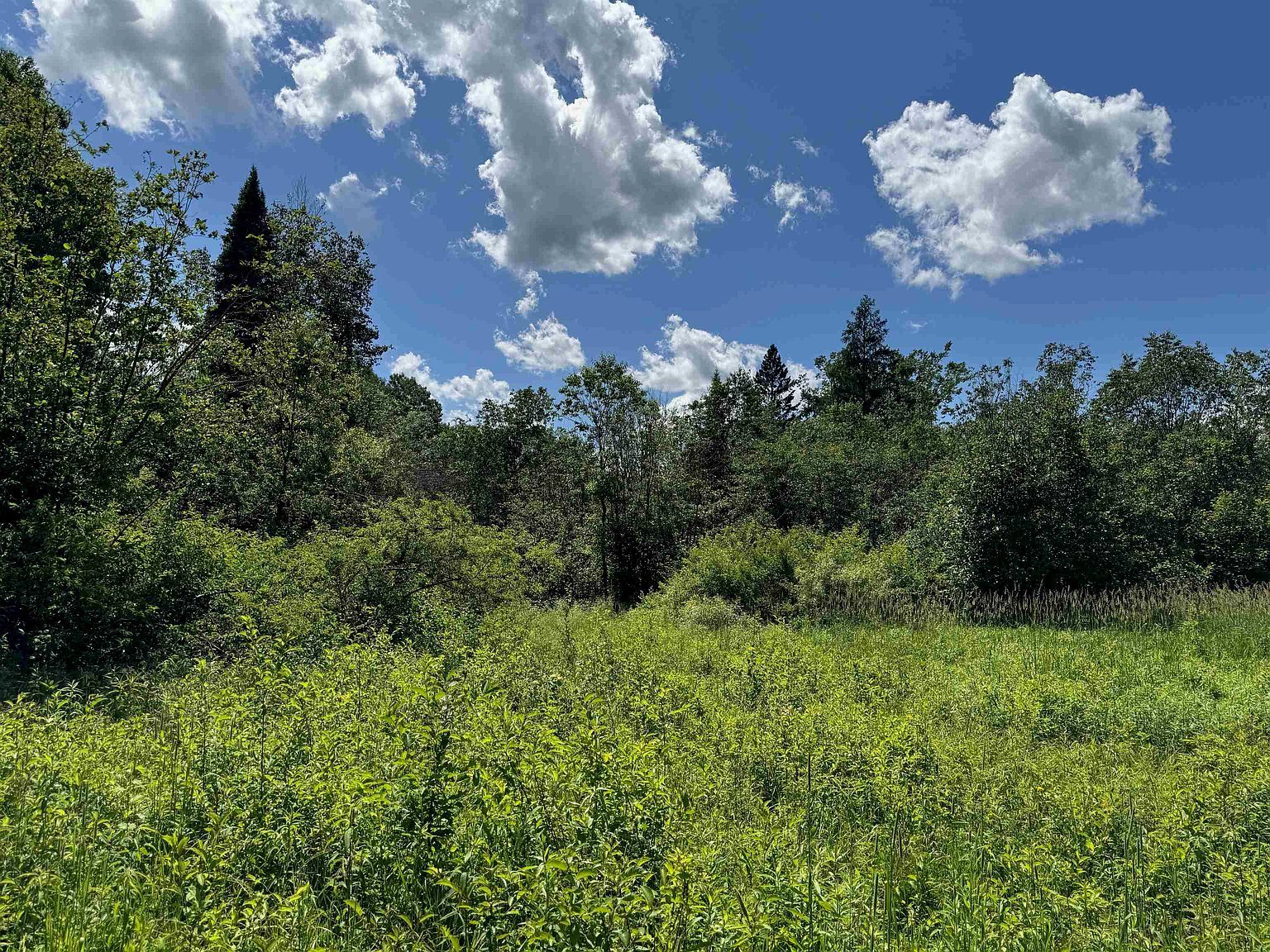 8143 N Wright Rd Winter, WI 54896  | Land/Lot