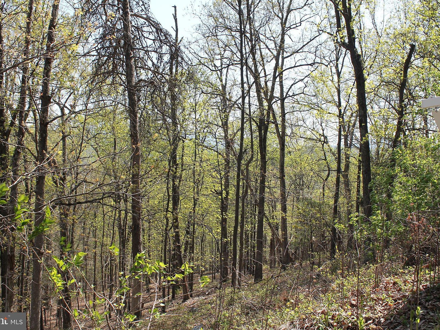 Hillandale Rd Front Royal, VA 22630  | Land/Lot