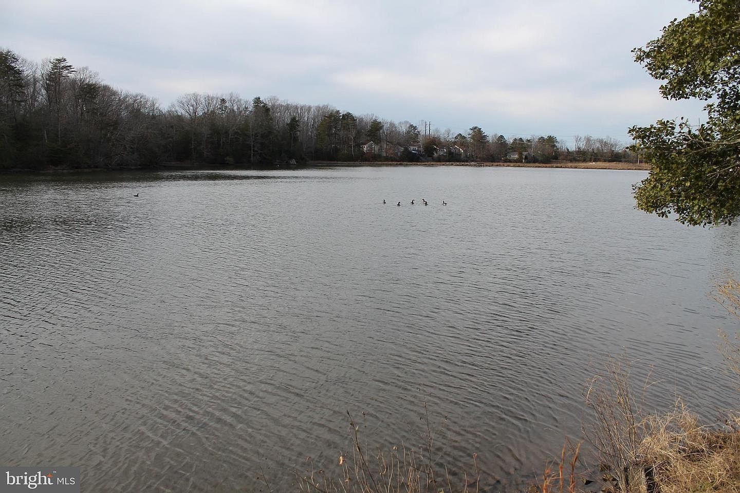 5300 N Williams Creek Dr King George, VA 22485  | Single Family