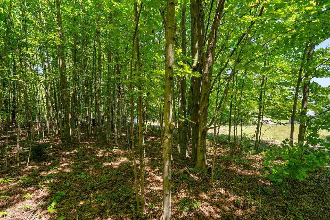 Spruce St LOT 1 East Jordan, MI 49727 | Land/Lot