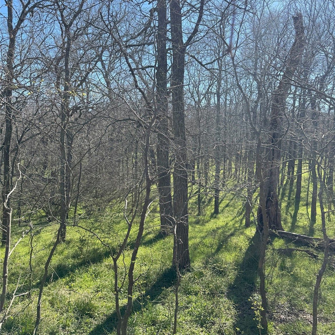 TRACT 1 SE County Road 3230 Kerens, TX 75144  | Land/Lot