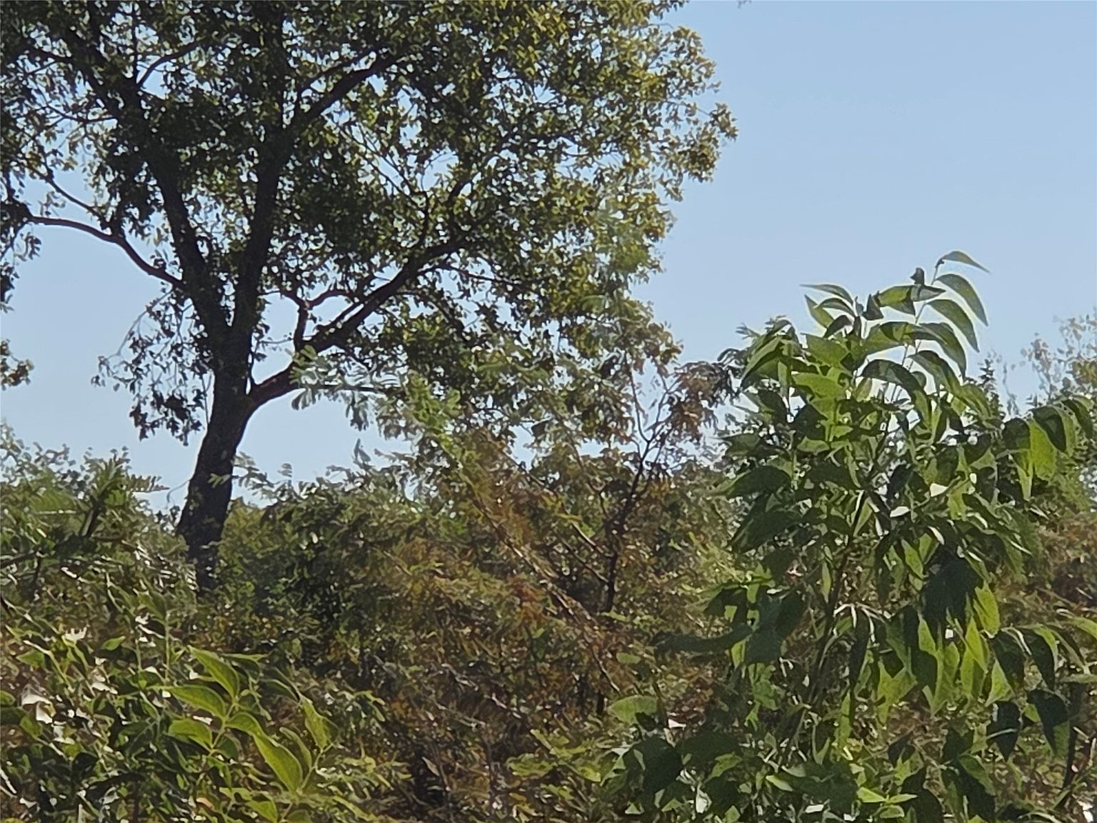 7 With Bg #15 Corsicana, TX 75109  | Land/Lot