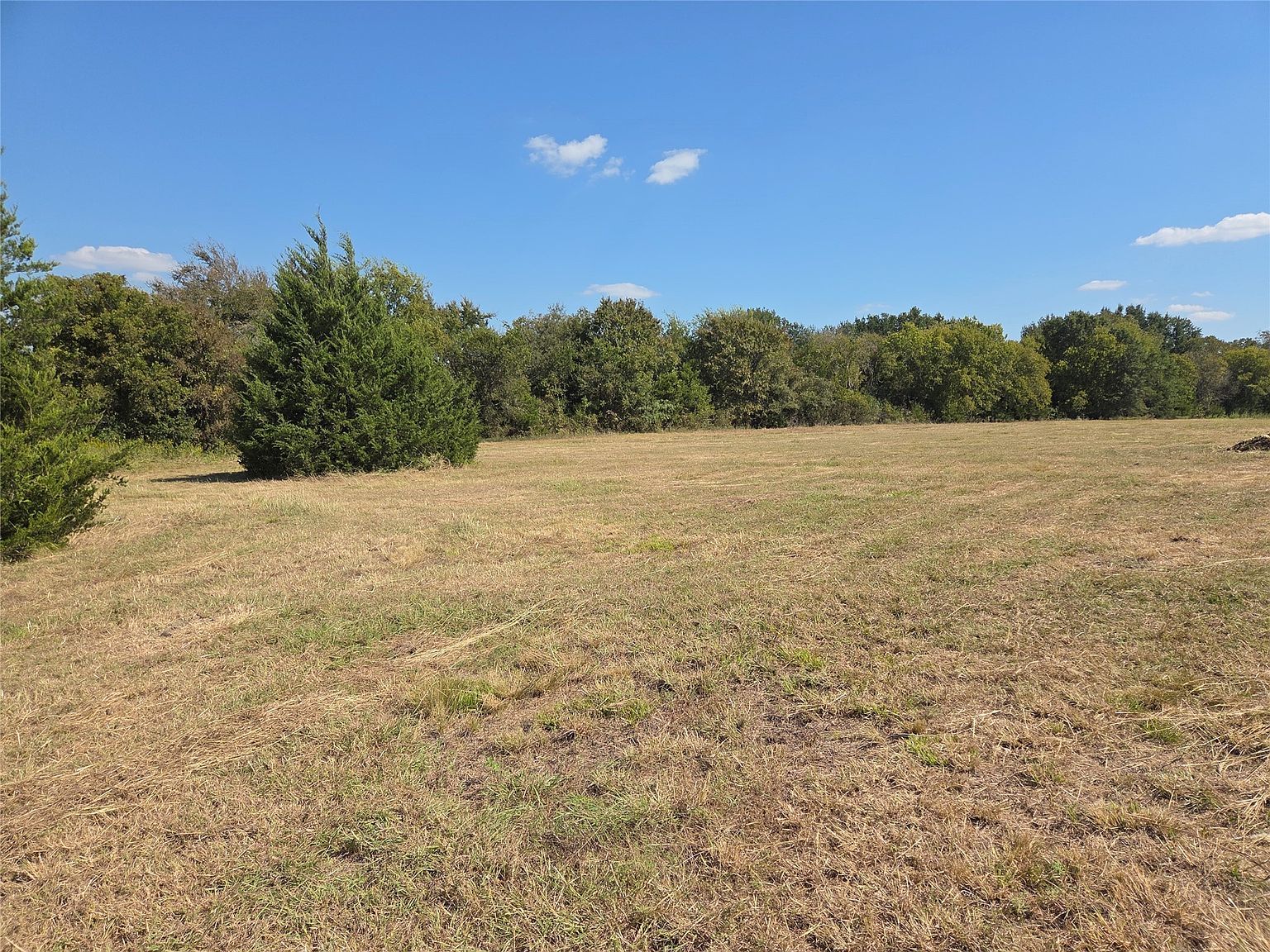 LOT 10 Oasis Dr Kerens, TX 75144  | Land/Lot