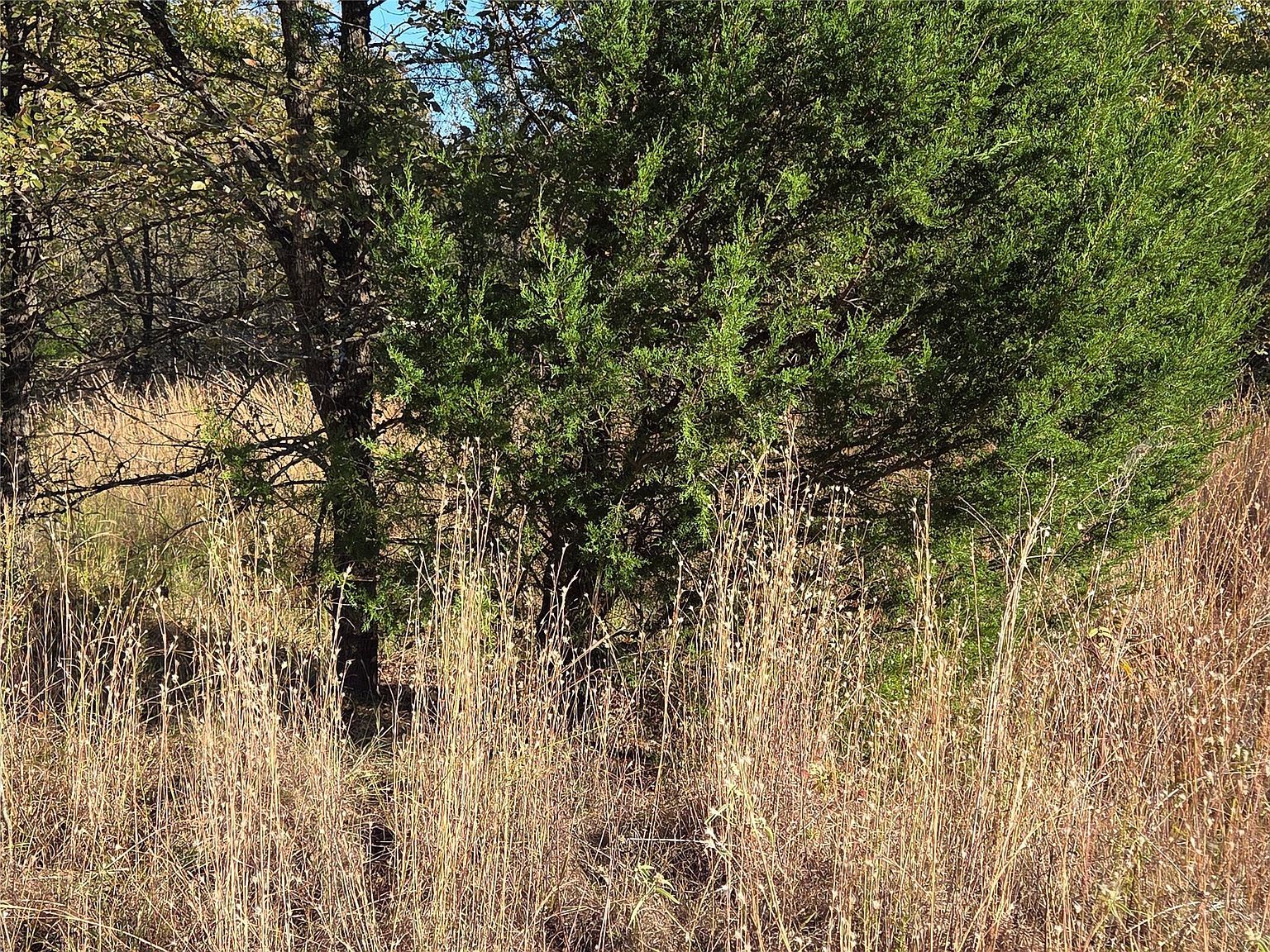 20 Sunrise W Corsicana, TX 75109  | Land/Lot