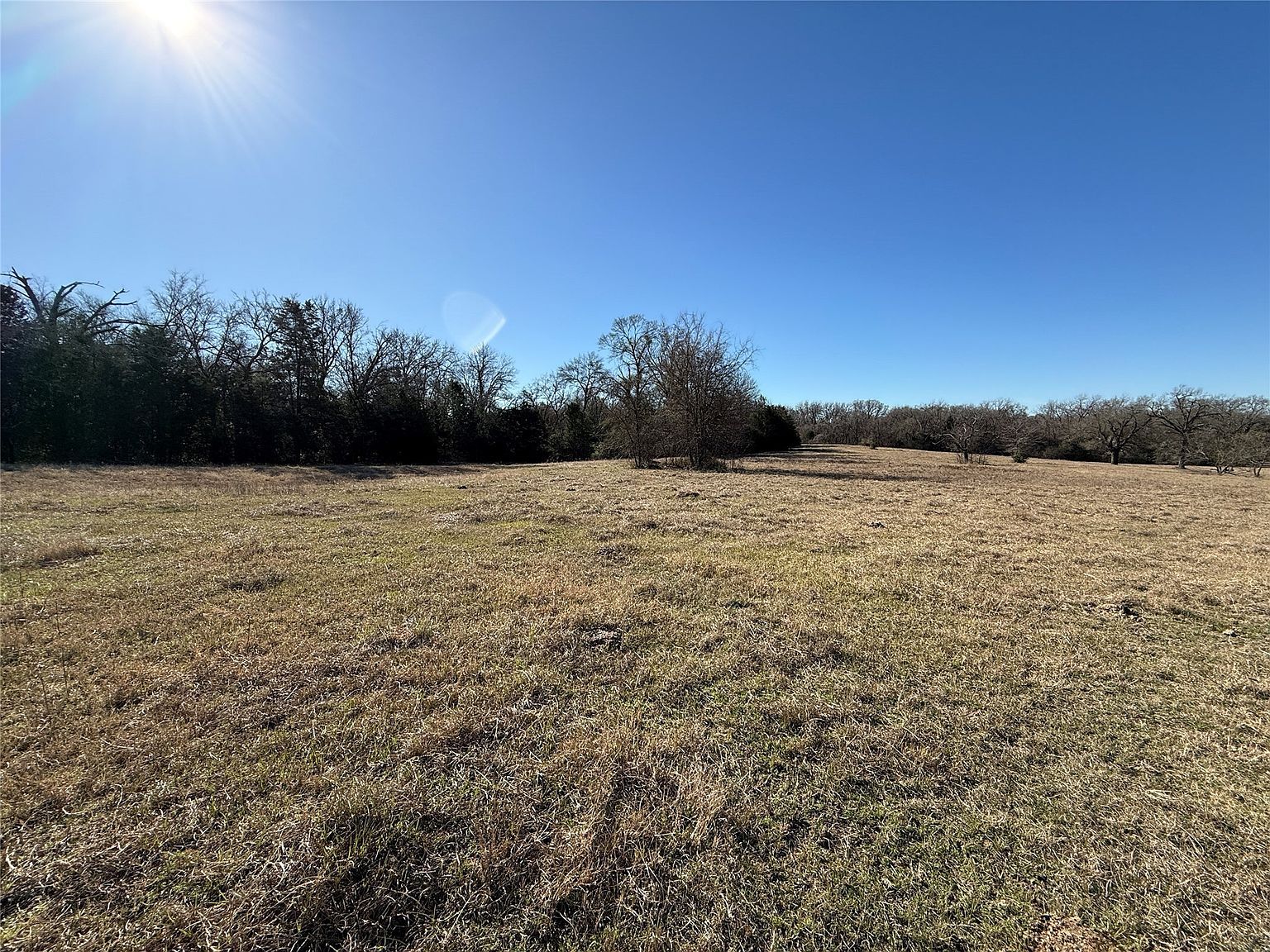 Fcr #1070 Wortham, TX 76693 | Land/Lot