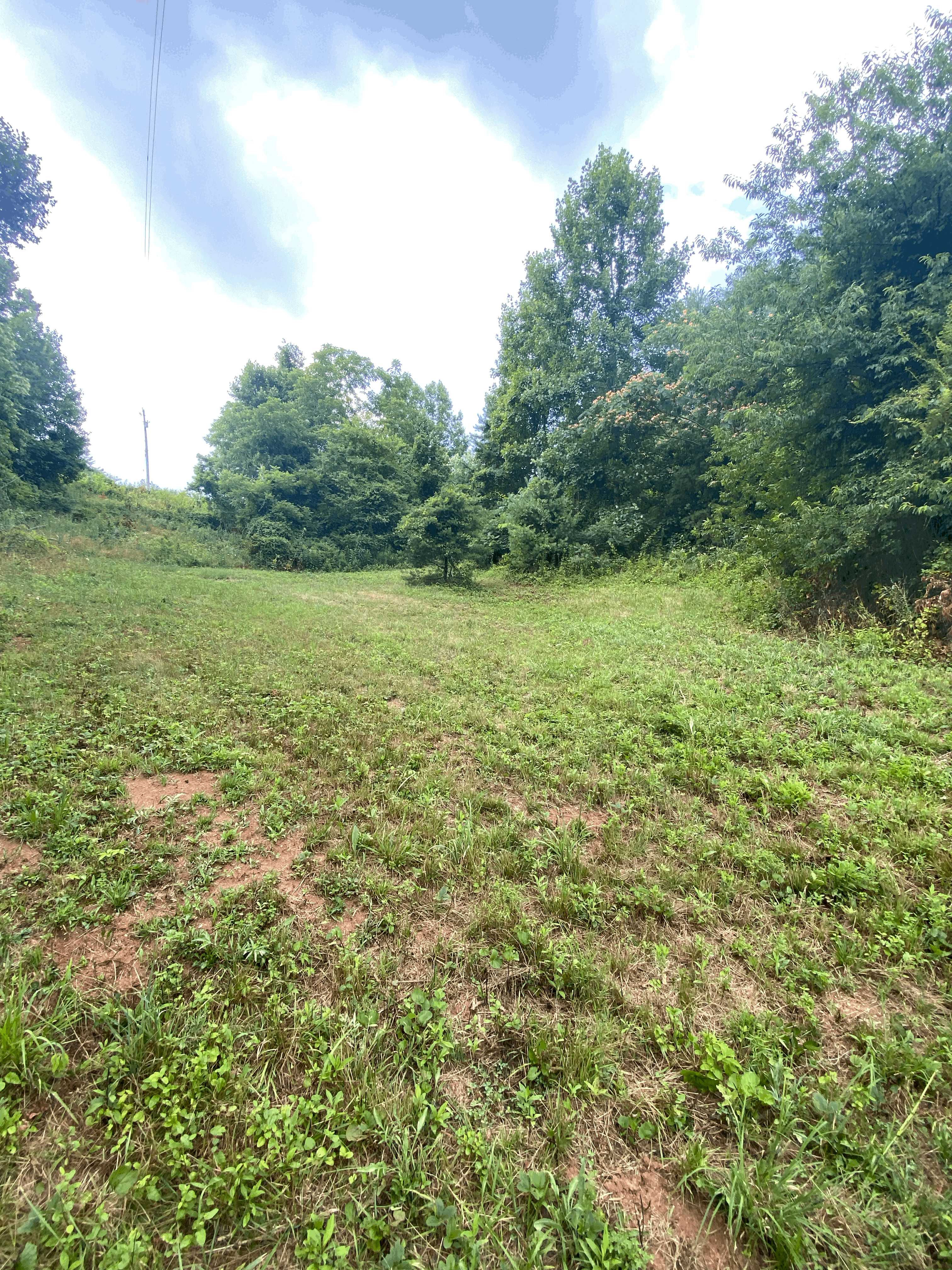 99999 Watsell Drive, Leicester, NC, USA, Leicester, NC, 28748  | Land/Lot