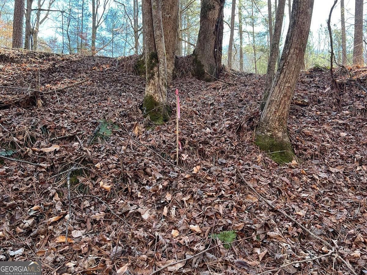 18 Lily Ln Ellijay, GA 30540 | Land/Lot