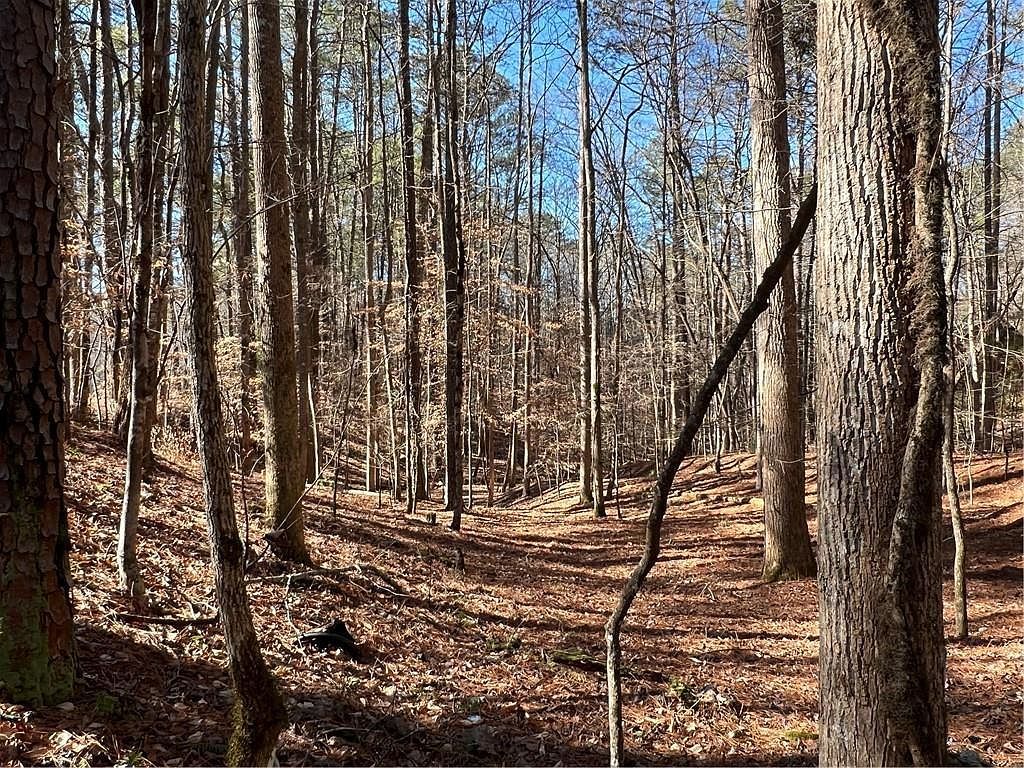 18 Lily Ln #321 Ellijay, GA 30540 | Land/Lot