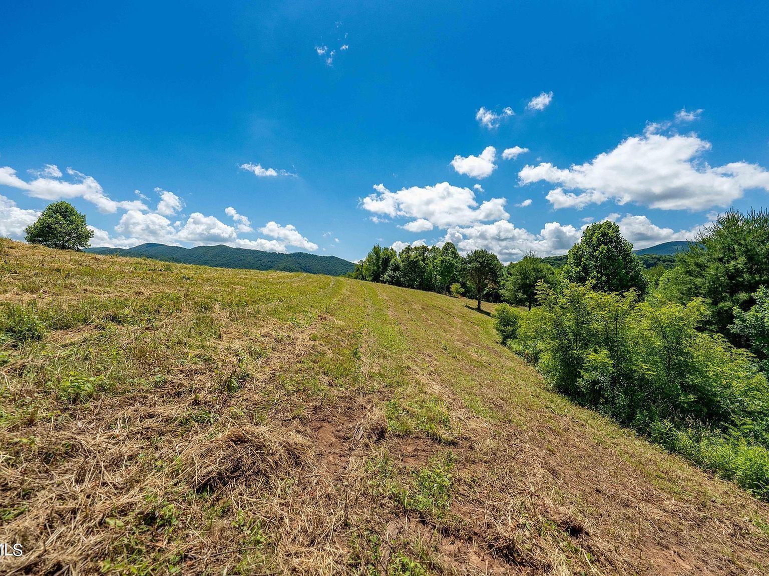 LOT 45 Eagle Ridge Pkwy Butler, TN 37640  | Land/Lot
