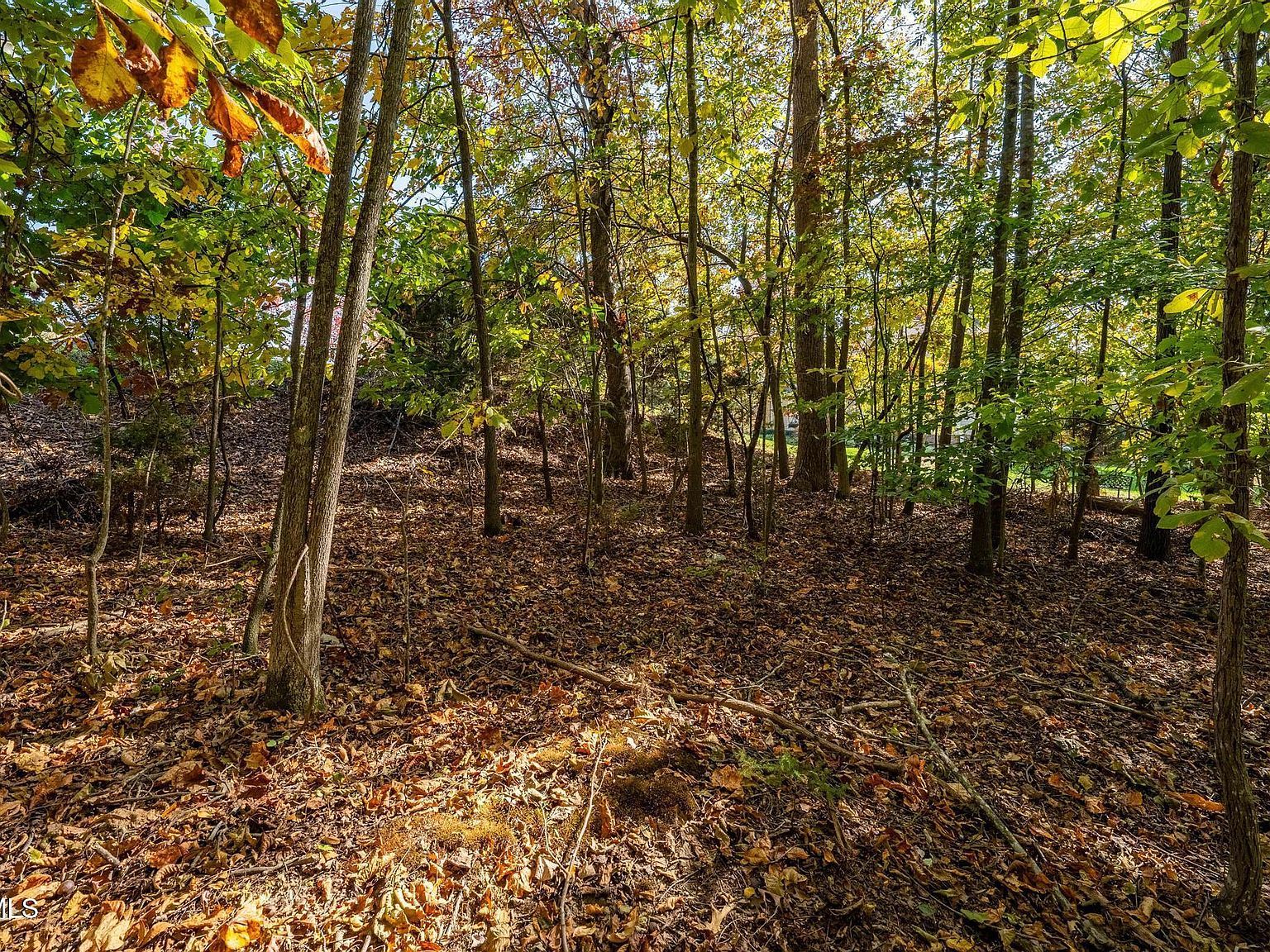 109 Lookout Ct Blountville, TN 37617  | Land/Lot