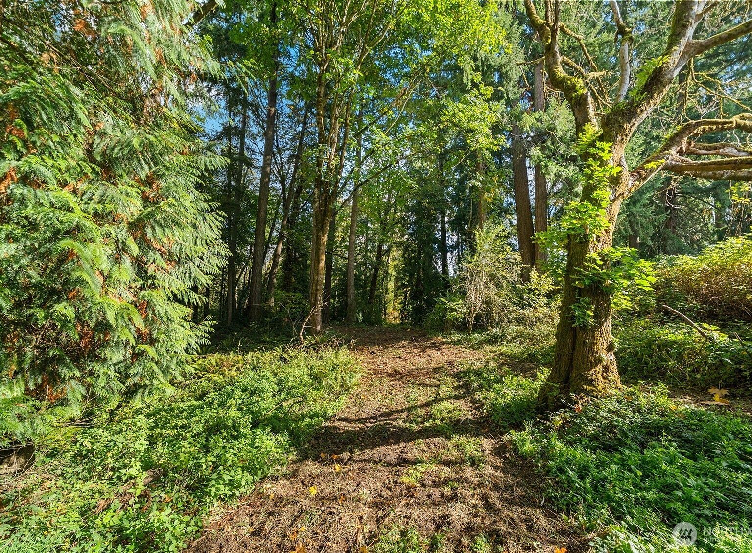0 S 4th Ave Ridgefield, WA 98642 | Land/Lot