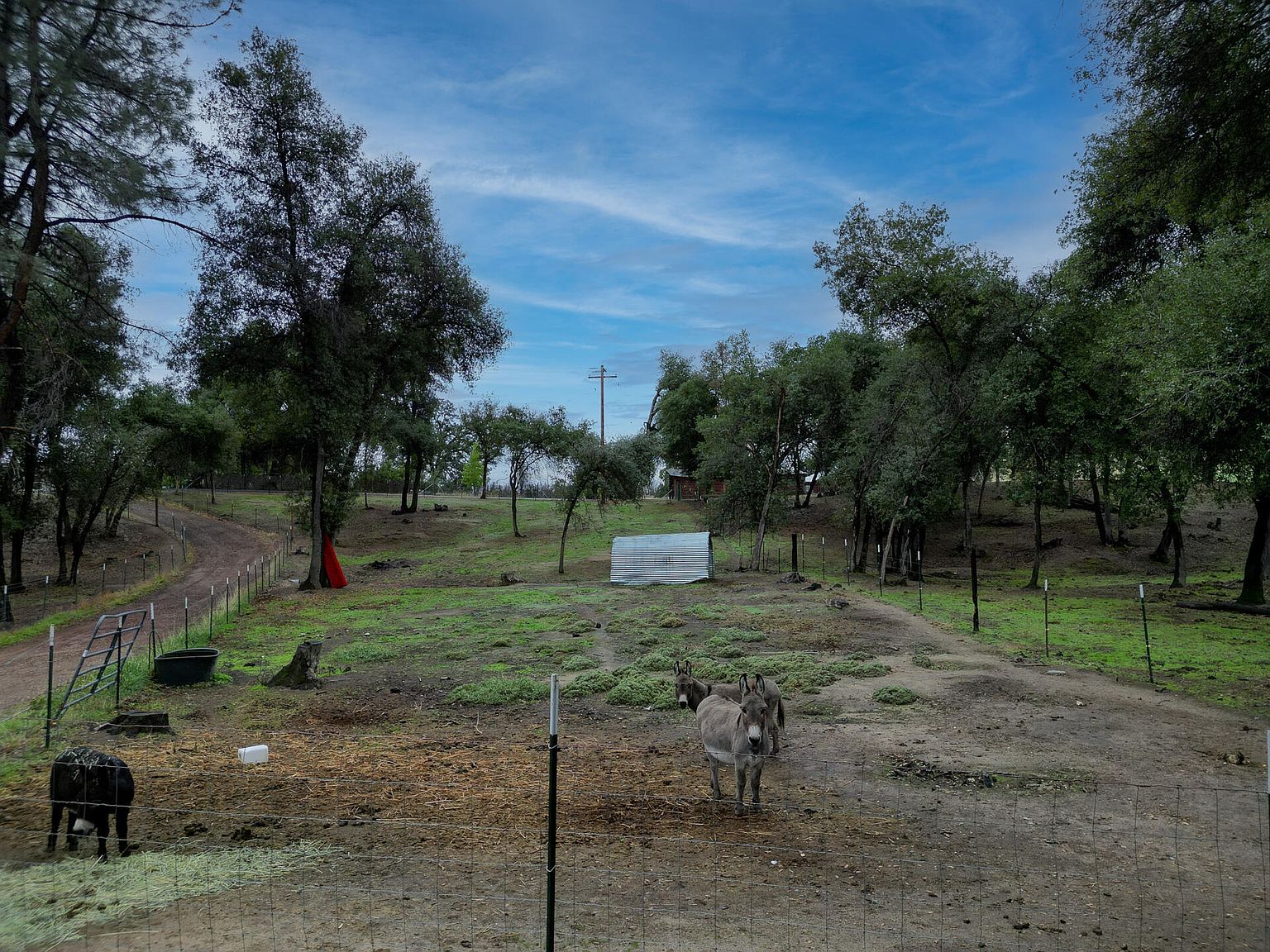 12562 Bender Rd Igo, CA 96047  | Land/Lot