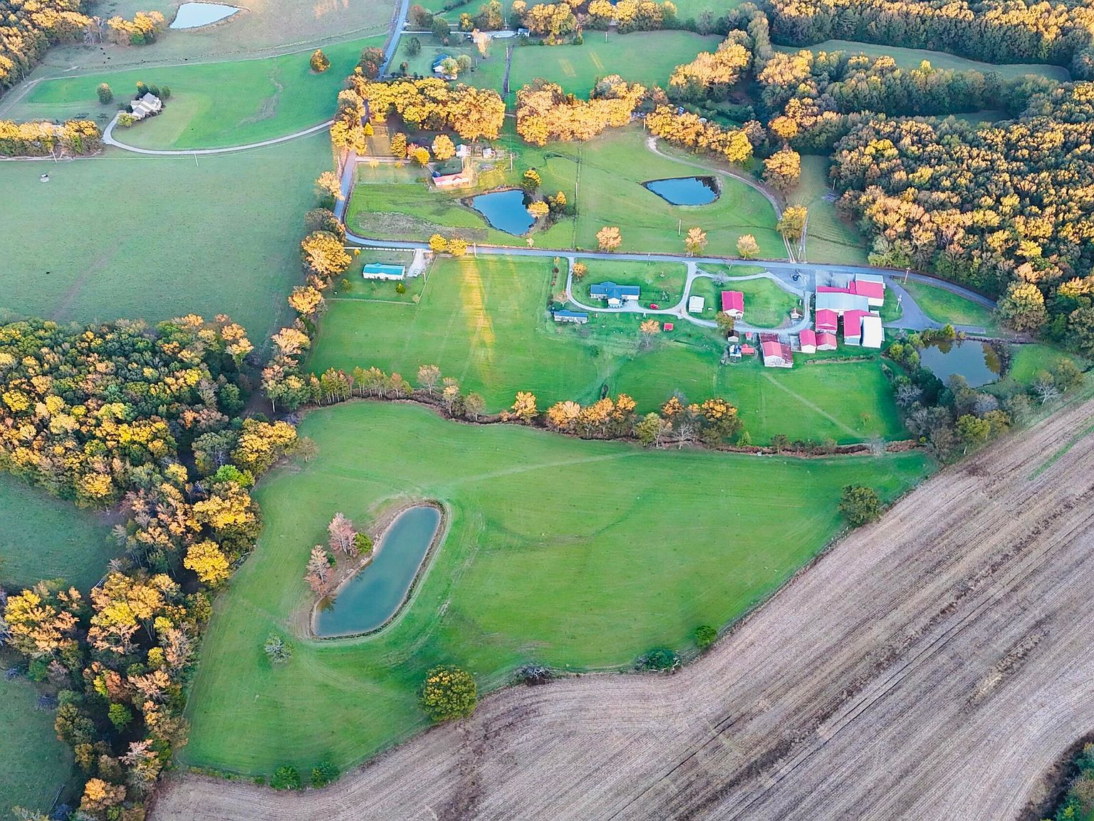 County Road 516 Rienzi, MS 38865 | Land/Lot