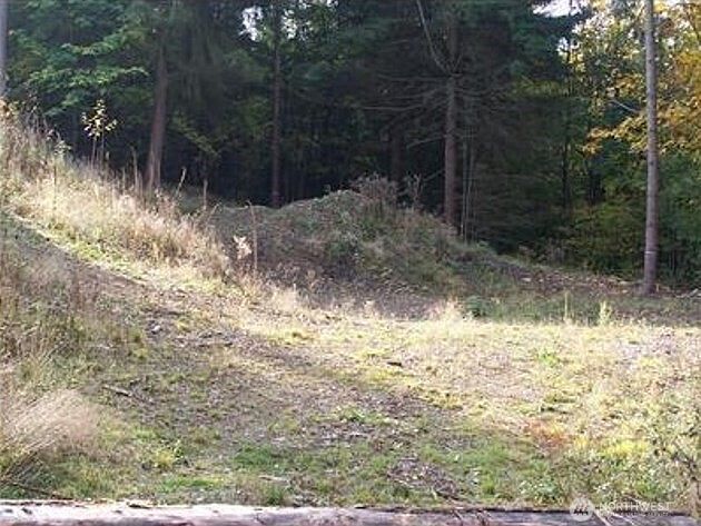 19728 Forest Canyon Rd E Lake Tapps, WA 98391  | Land/Lot