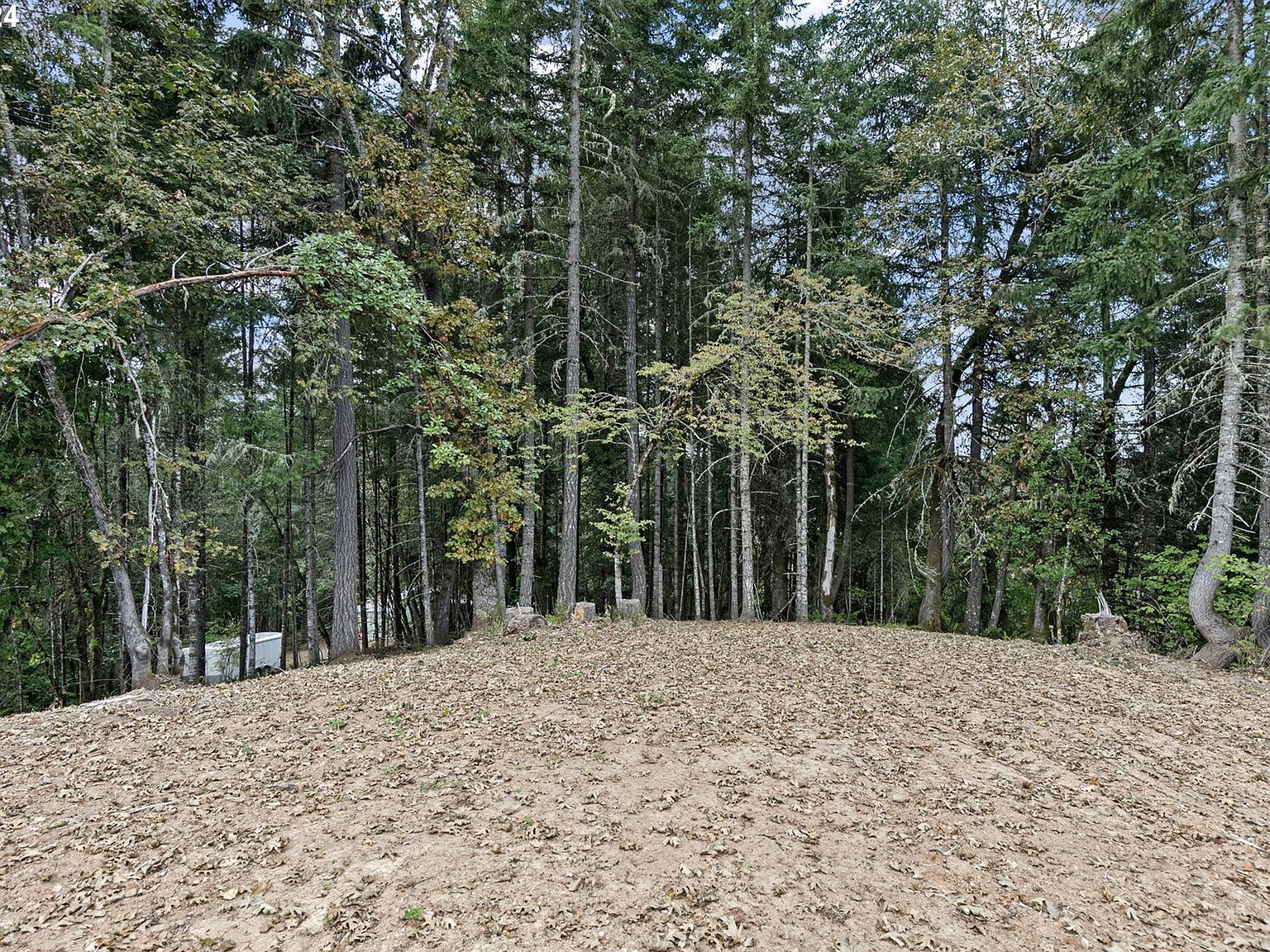 24977 Sturtevant Dr Veneta, OR 97487  | New build