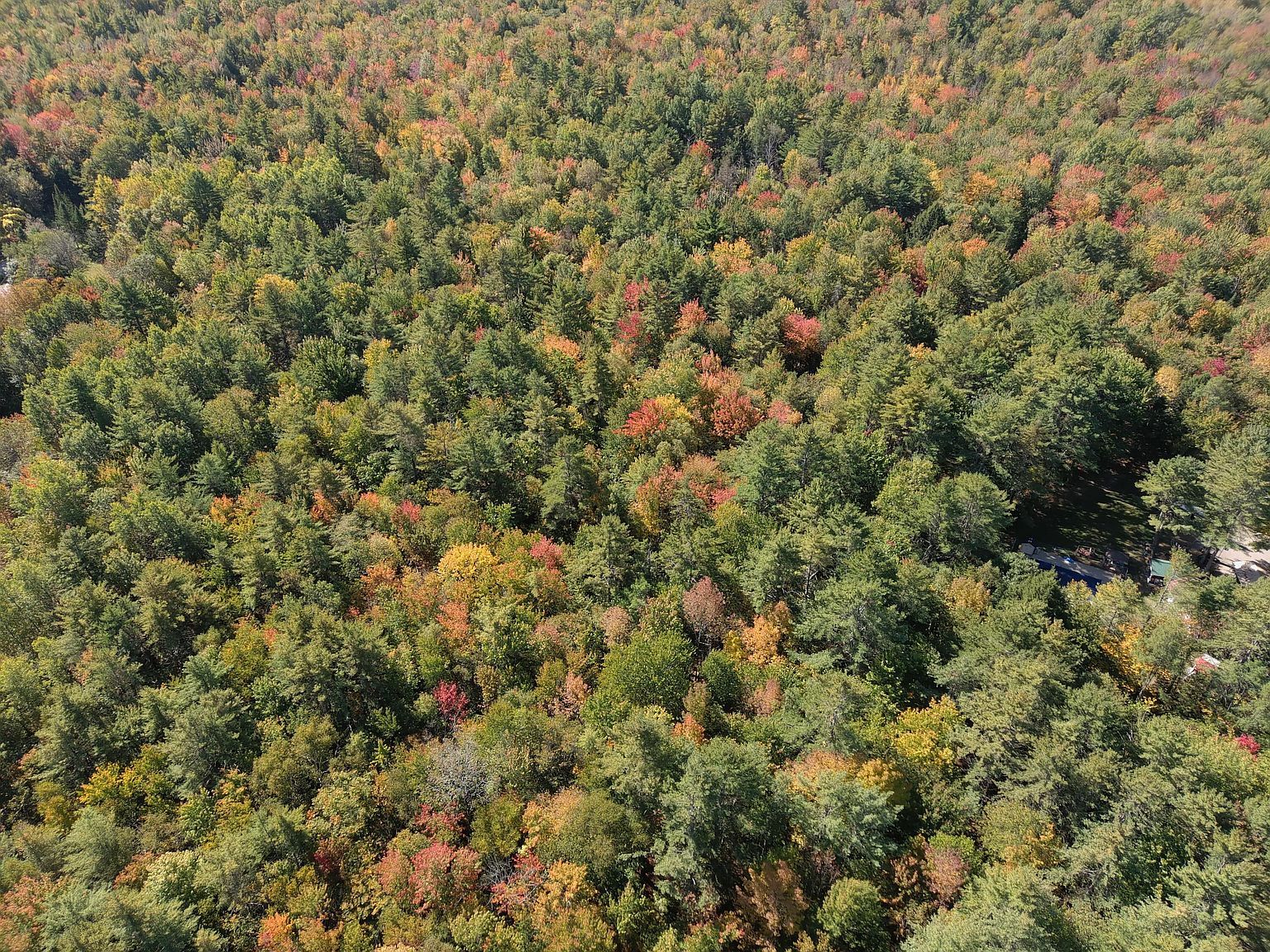 Map5 Hardwood Ln LOT 39 Fairfield, ME 04937  | Land/Lot
