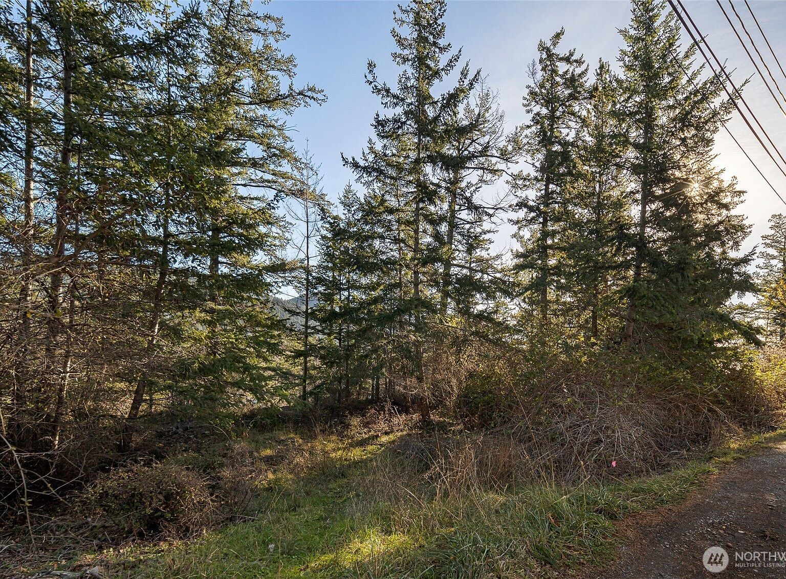 0 Nhn Cliffhouse Ct Eastsound, WA 98245 | Land/Lot