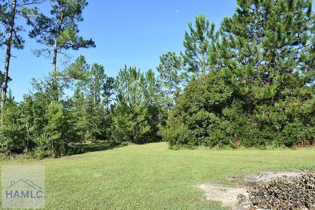 173 Macon Ln SE Ludowici, GA 31316 | Single Family