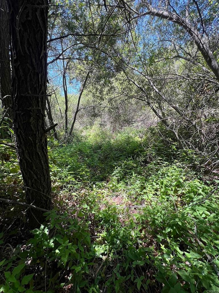 Riverside Dr Descanso, CA 91916 | Land/Lot