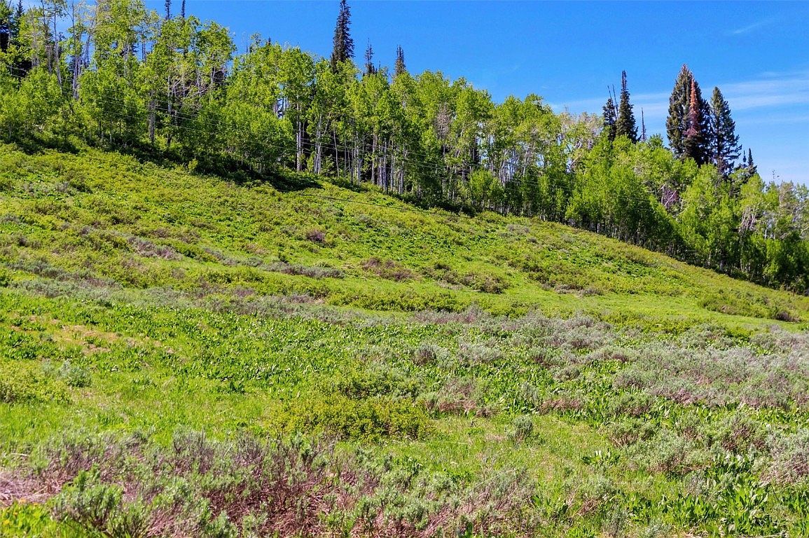 Golden Tide Pl Clark, CO 80428  | Land/Lot