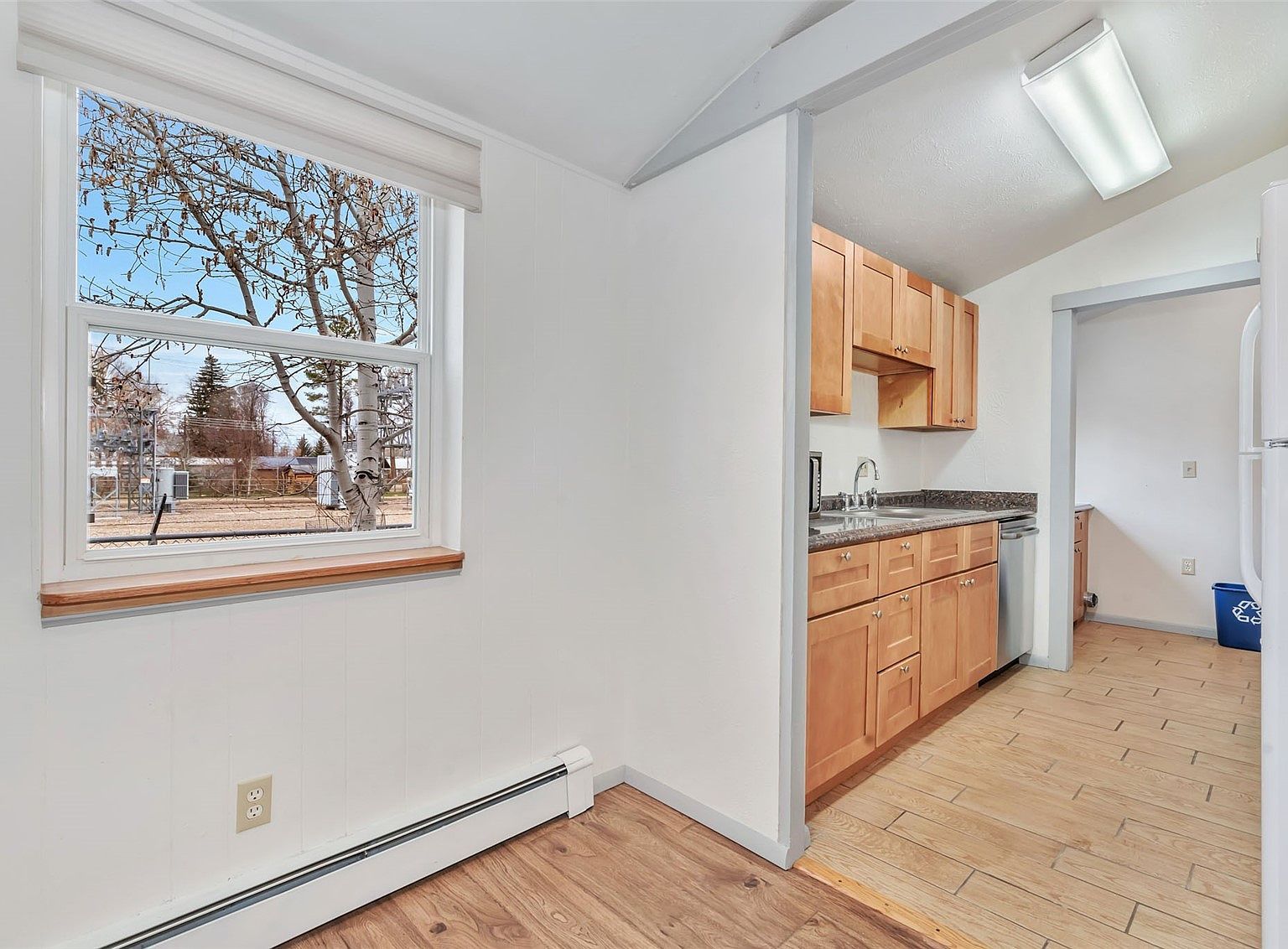 427 E Washington Ave #A & B Hayden, CO 81639 | Multi Family