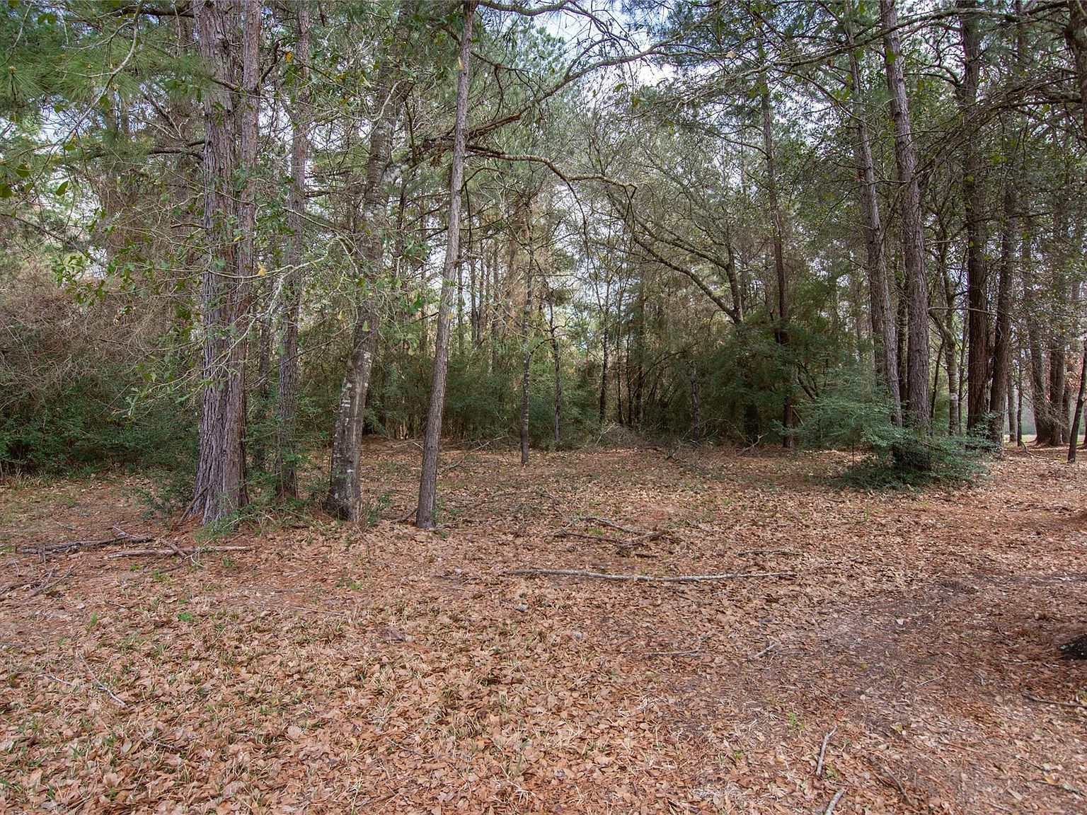 26500 Saddle Horn Dr Waller, TX 77484  | Land/Lot