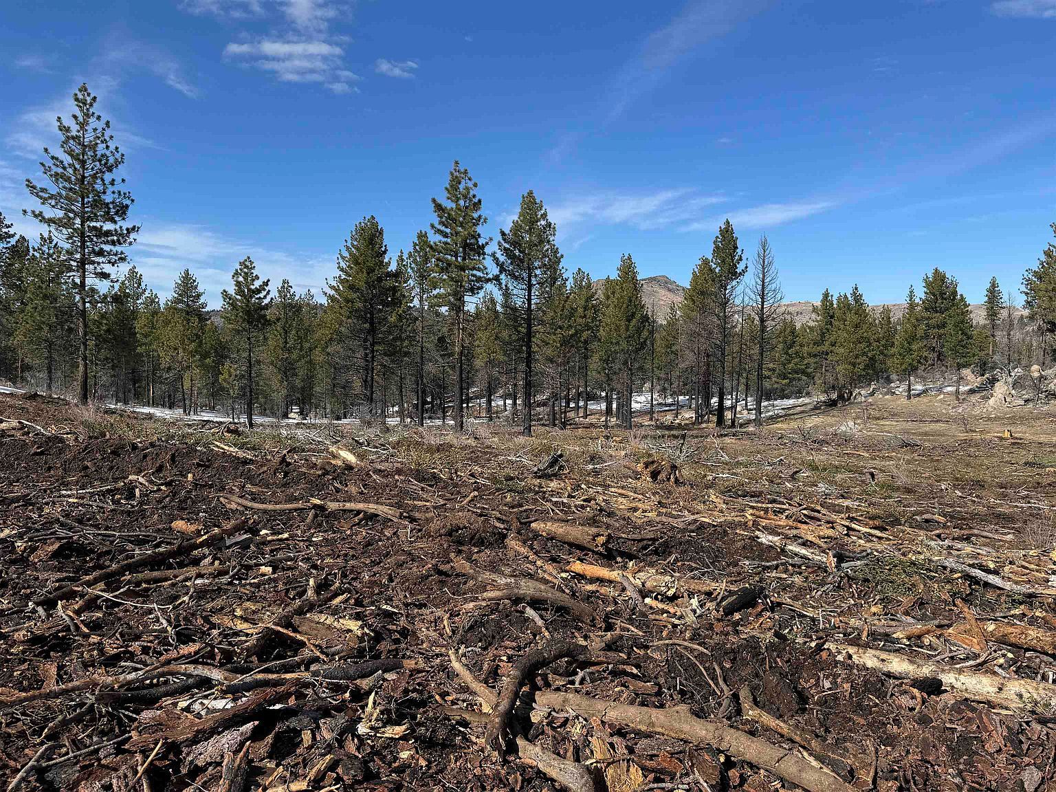 434-100 Diamond Mountain Rd Doyle, CA 96109  | Land/Lot