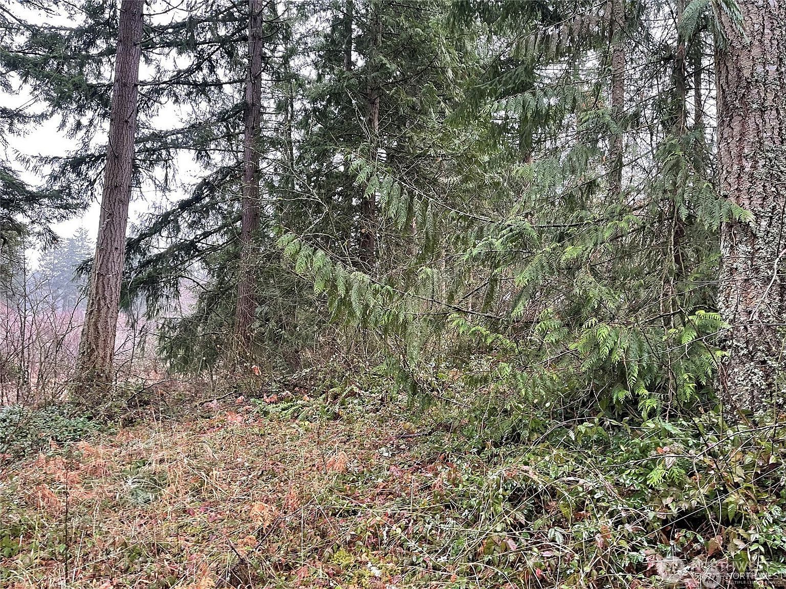 17616 Vine Ln SE Yelm, WA 98597 | Land/Lot