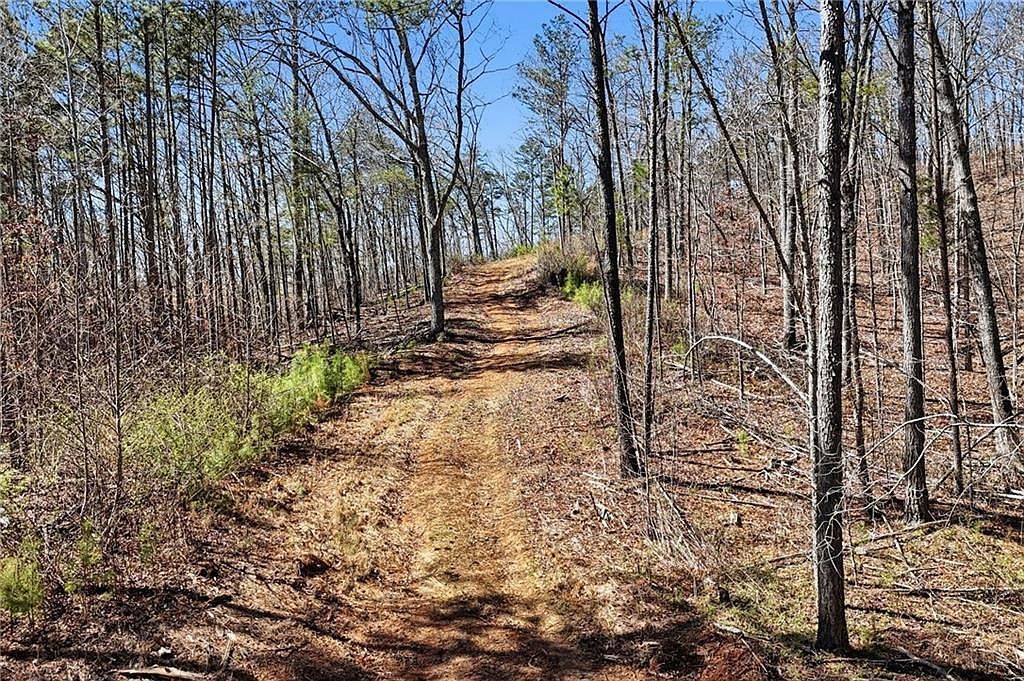 12100 Reinhardt College Pkwy #1 Waleska, GA 30183  | Land/Lot