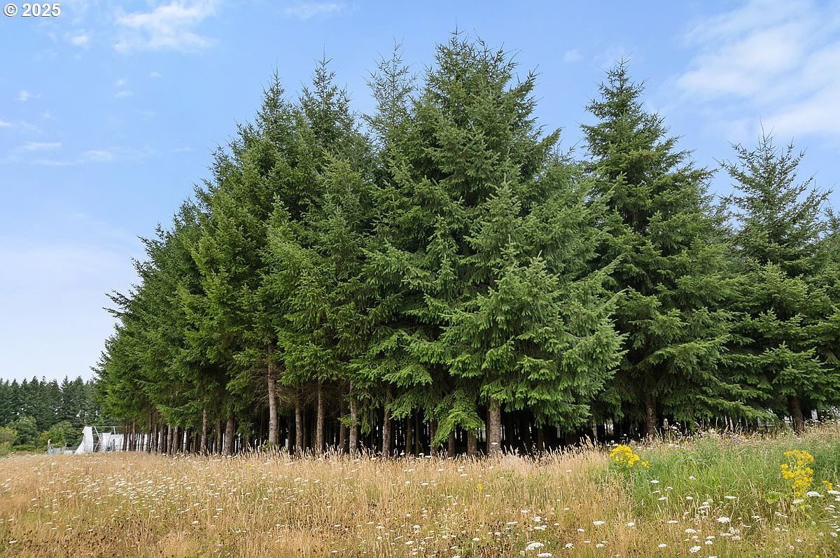 40801/40809 SE Trubel Rd Sandy, OR 97055  | New build