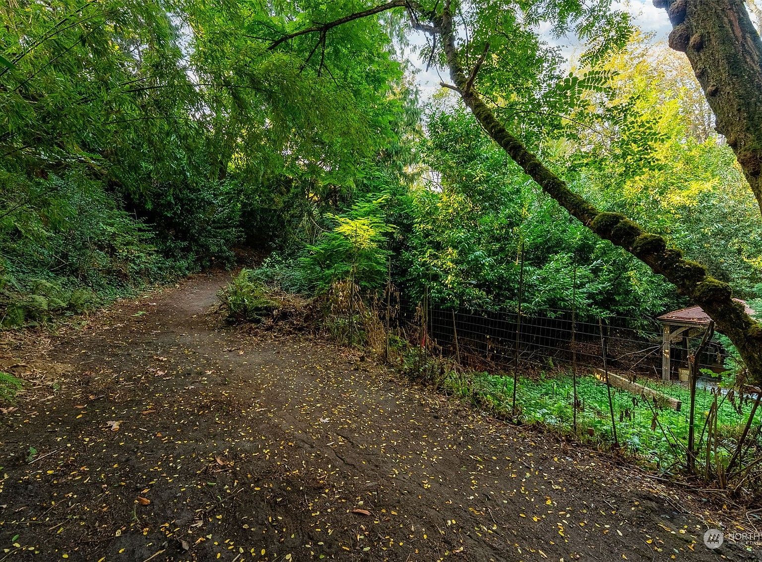 3016 N 34th St Tacoma, WA 98407  | Single Family