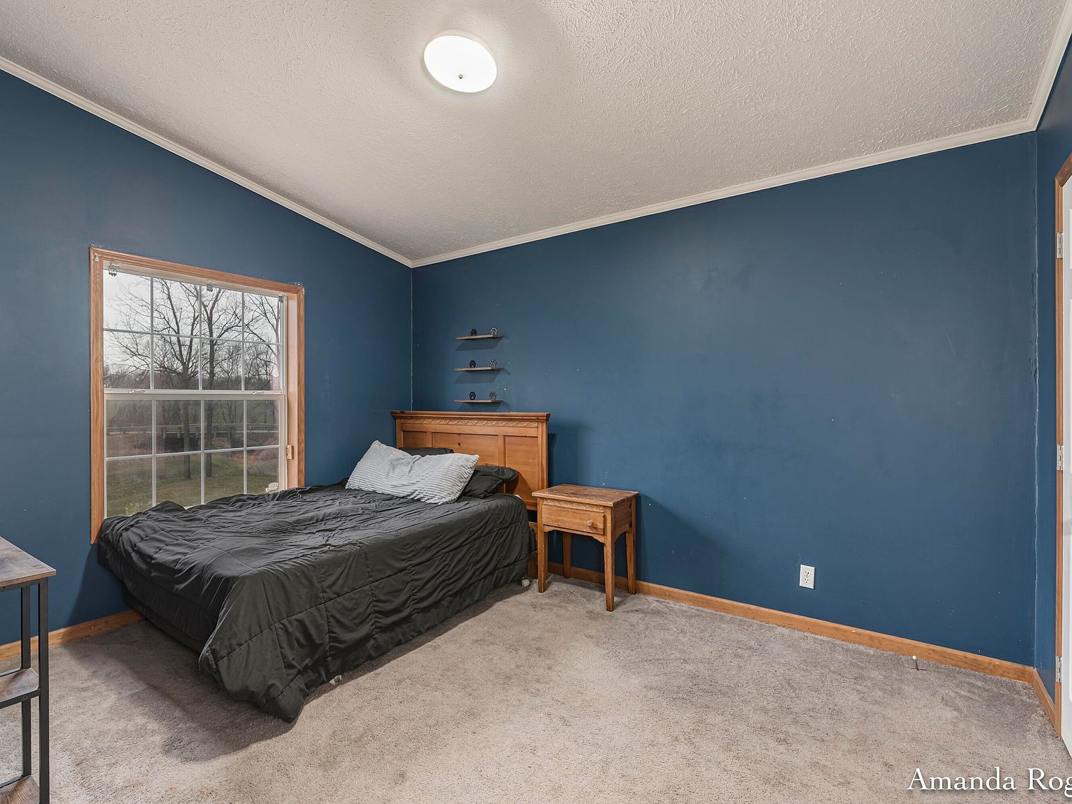 13447 Christopher St Lake Odessa, MI 48849 | Single Family