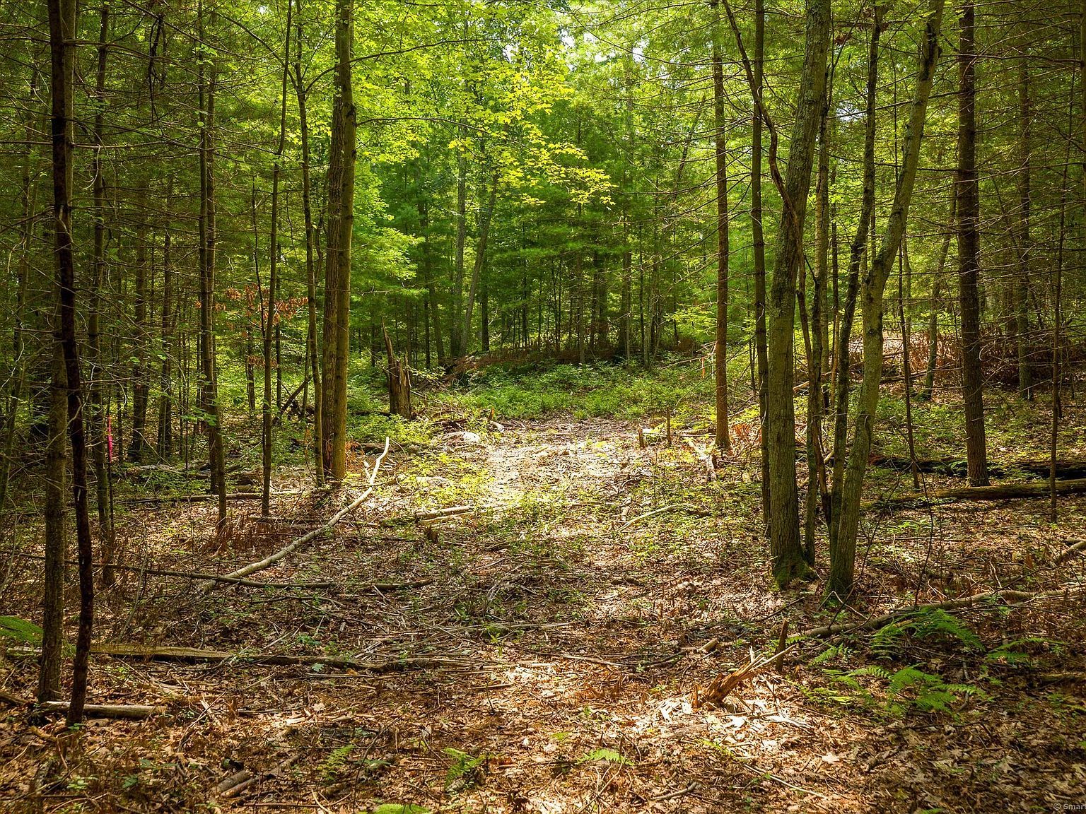 219 Pomfret St Putnam, CT 06260  | Land/Lot