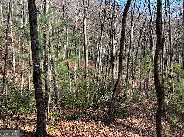 0 Evergreen Ln Dillard, GA 30537 | Single Family