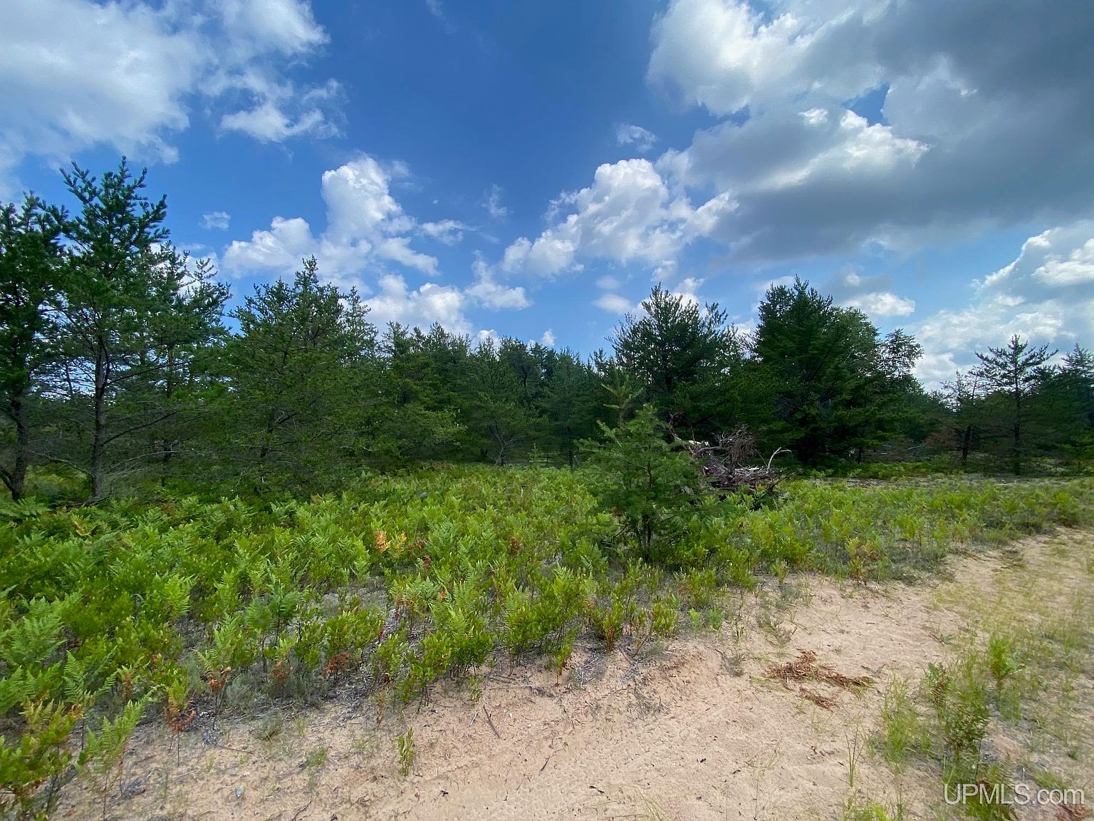 Charlotte Trl Marquette, MI 49855 | Land/Lot