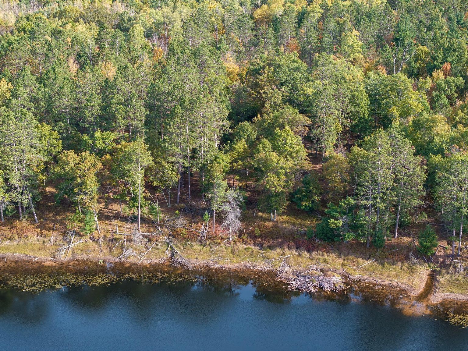 County Road H Rd Danbury, WI 54830  | Land/Lot