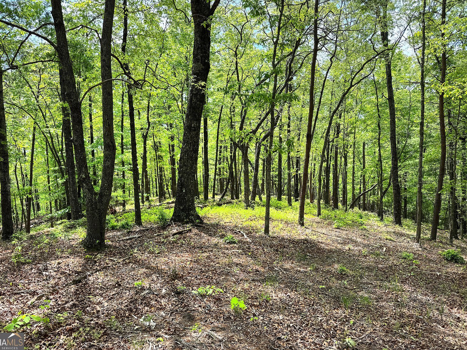 0 Lawrence Rd Dawsonville, GA 30534  | Land/Lot