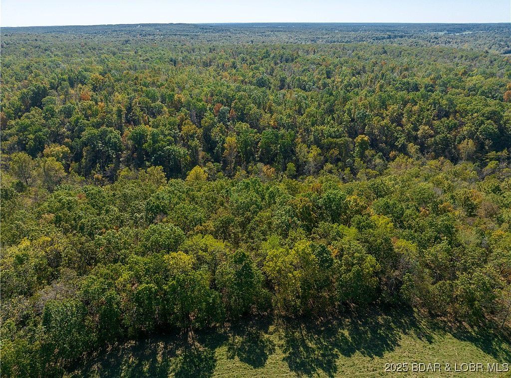Flag Hollow Rd Montreal, MO 65591 | Land/Lot