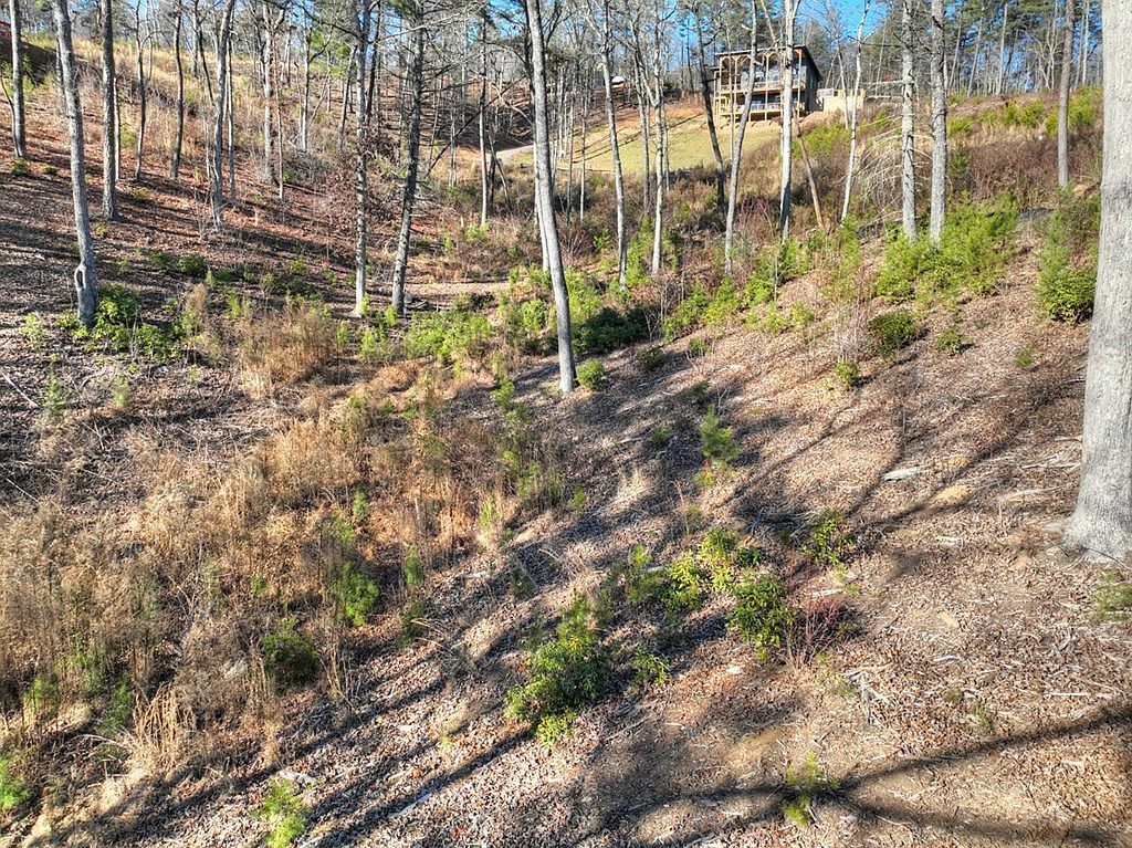 LOT 16 Mountain Laurel Dr Mineral Bluff, GA 30559  | Land/Lot