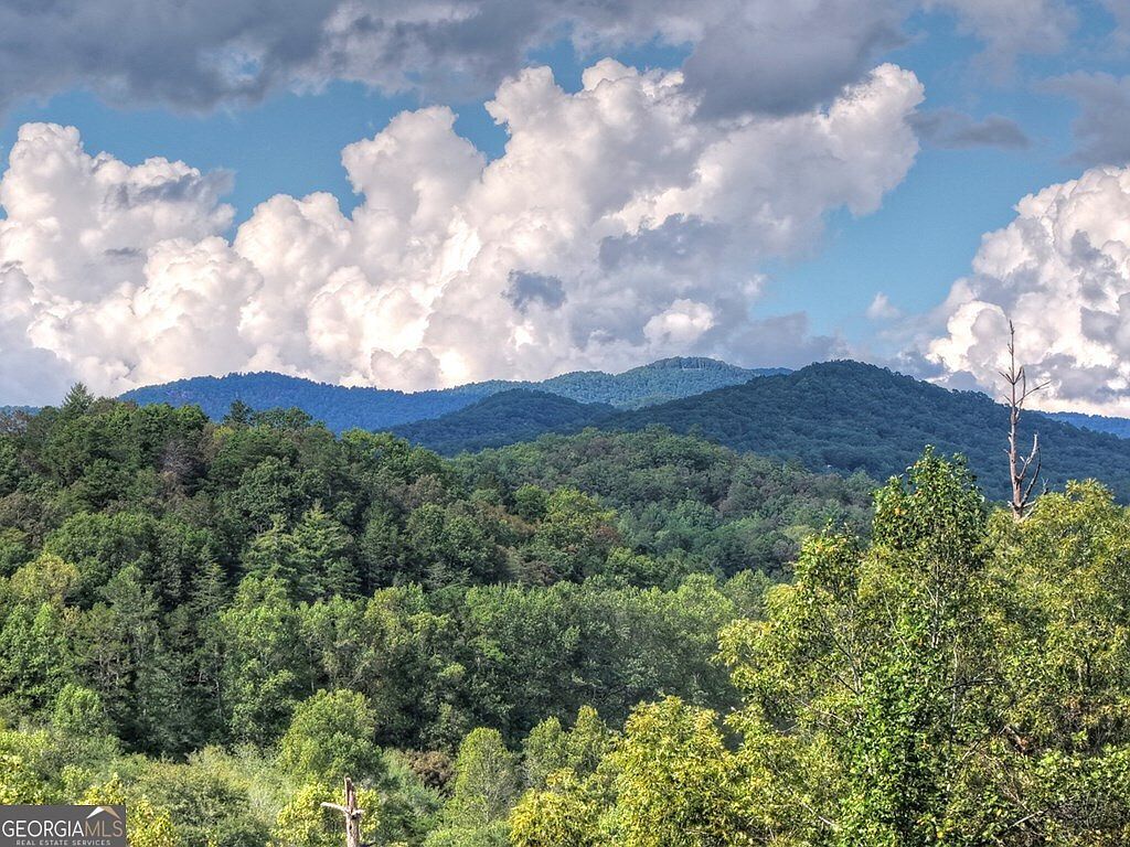 421 Salem Valley Rd Mineral Bluff, GA 30559  | Single Family