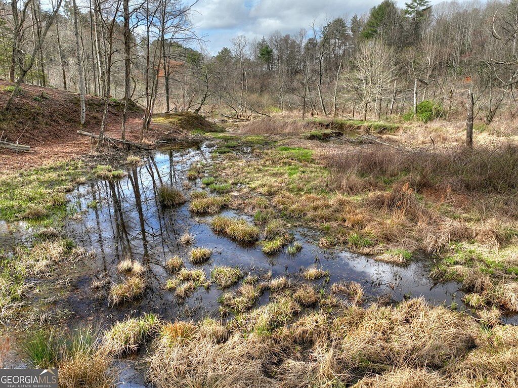 4081 Whitepath Rd Ellijay, GA 30540  | Single Family