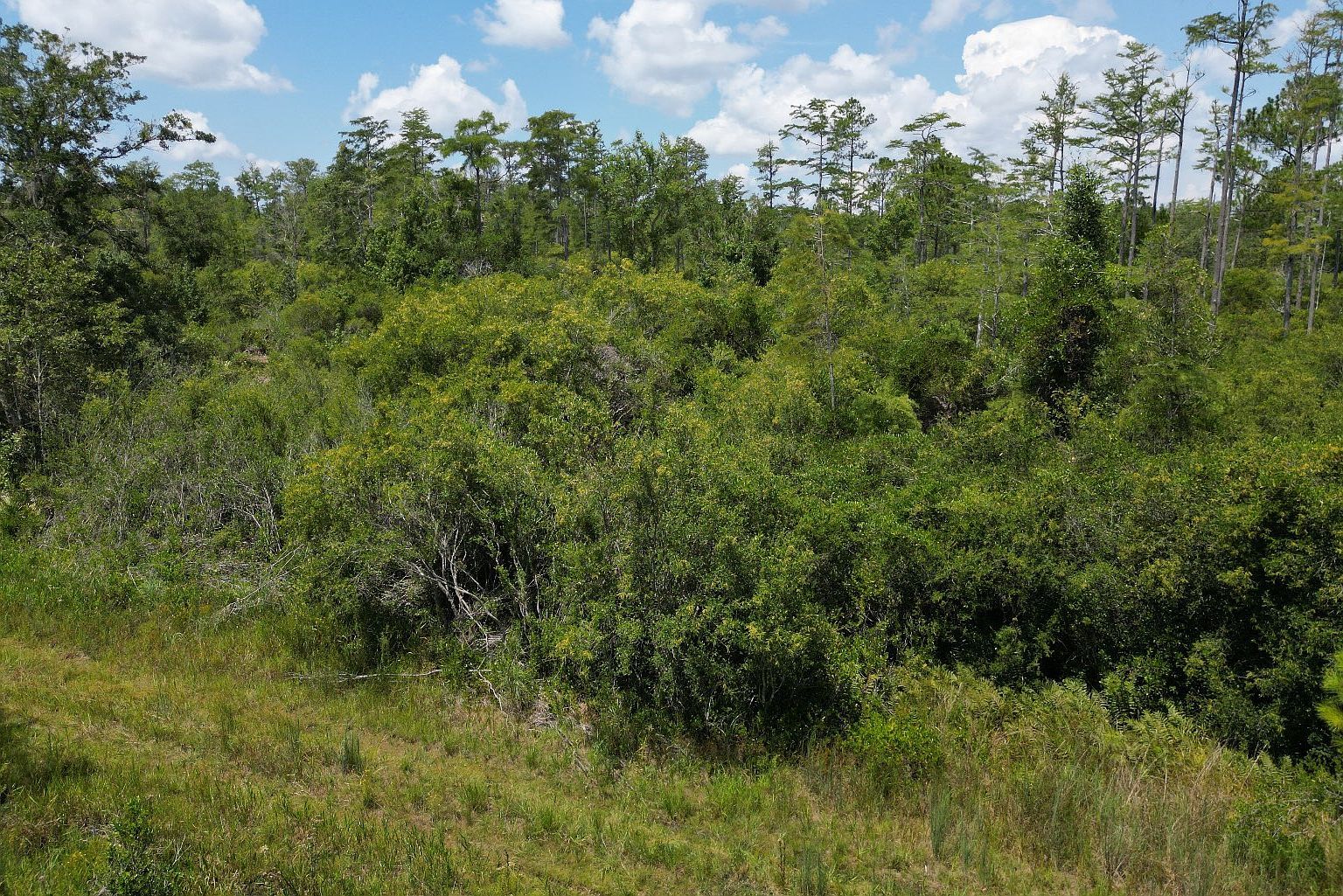 Florida Power Esmnt, Perry, FL, 32348  | Land/Lot