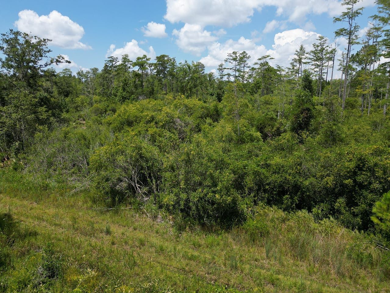 (undisclosed Address) Perry, FL 32347  | Land/Lot