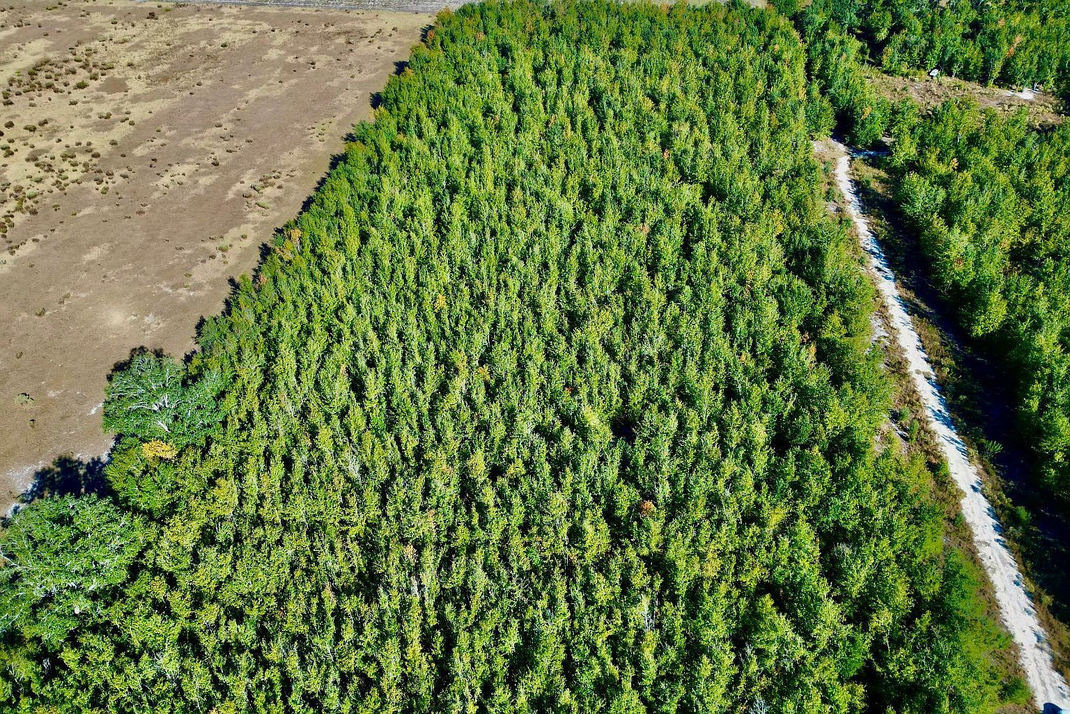 217 SE Homestead Way Madison, FL 32340  | Land/Lot